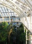 15466 Temperate house balcony.jpg